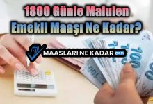 1800 Günle Malulen Emekli Maaşı