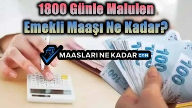 1800 Günle Malulen Emekli Maaşı