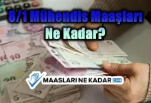 8/1 Mühendis Maaşları