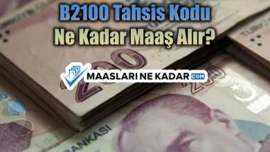 B2100 Tahsis Kodu Ne Kadar Maaş Alır